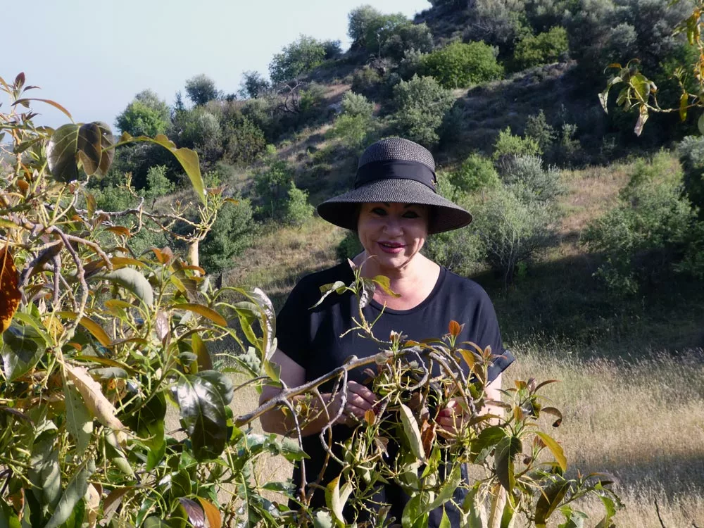 Sabine Kuhn mit Sonnenhut zwischen Avocadobäumen in der zyprischen Hügellandschaft